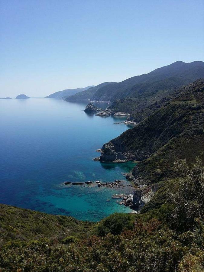 Dafni Studios Neo Klima Bagian luar foto